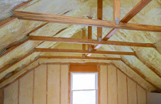 Professional Insulation Contractor in TX