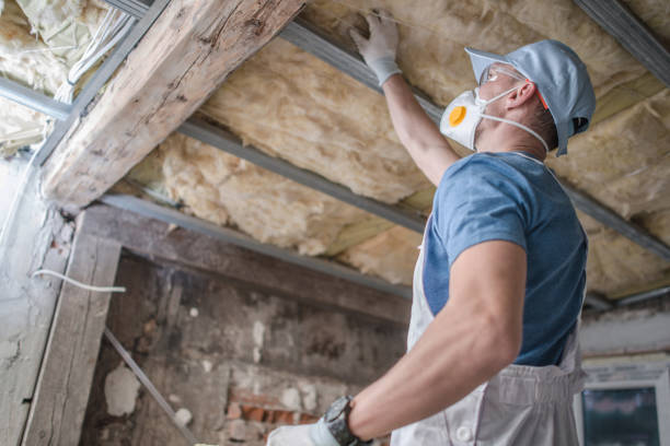 Best Specialty Insulation in Iraan, TX