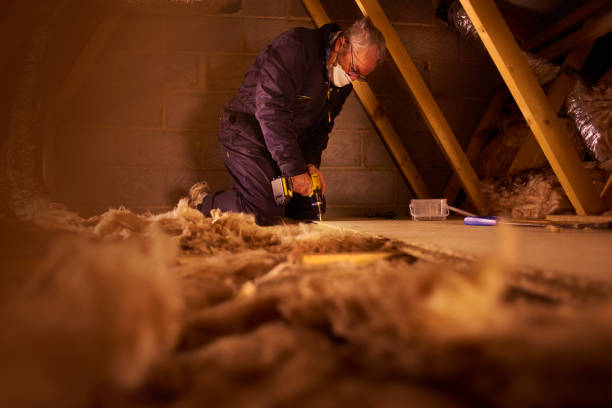 Best Insulation Installation Services in Iraan, TX
